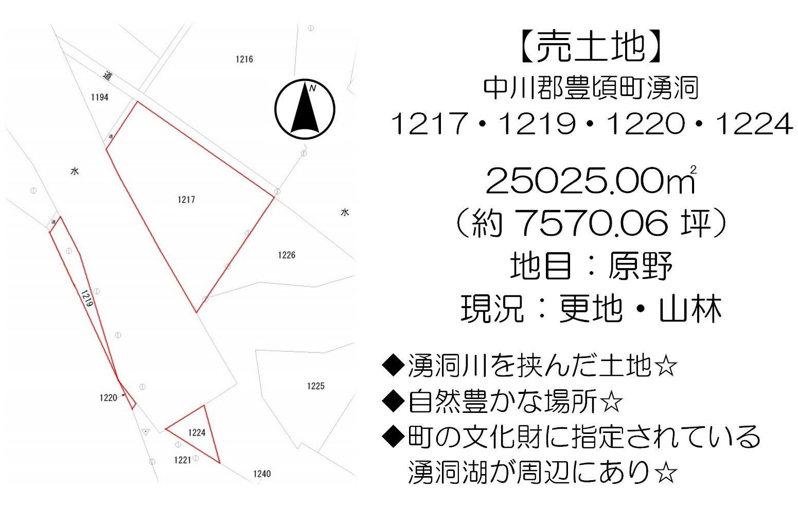 中川郡豊頃町湧洞の土地 間取り