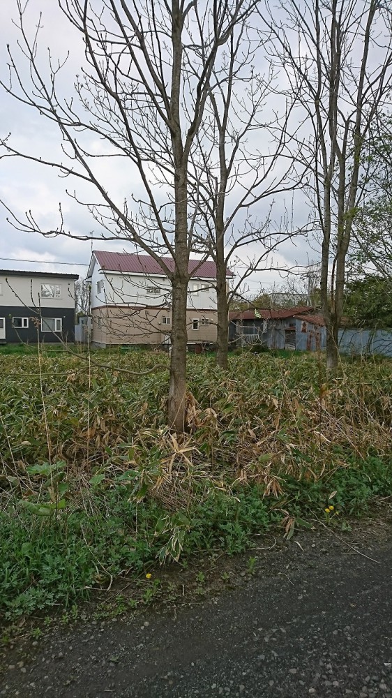 上川郡清水町字清水基線67-24 間取り