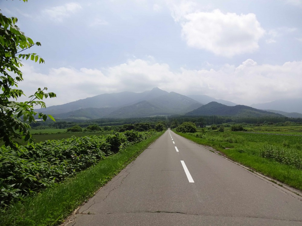 「緑のアーチ」をくぐると出会う、とっても素敵なアデルの杜。 間取り