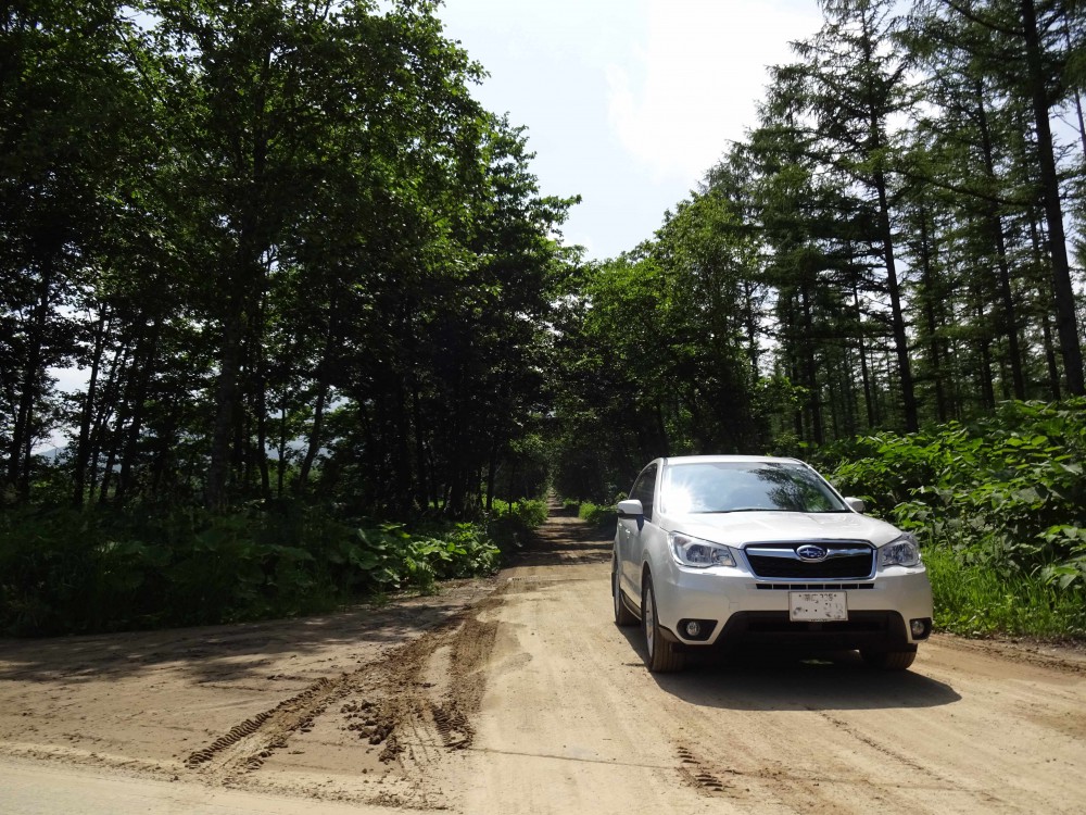 「緑のアーチ」をくぐると出会う、とっても素敵なアデルの杜。 内観