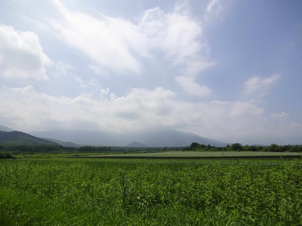 「緑のアーチ」をくぐると出会う、とっても素敵なアデルの杜。 内観