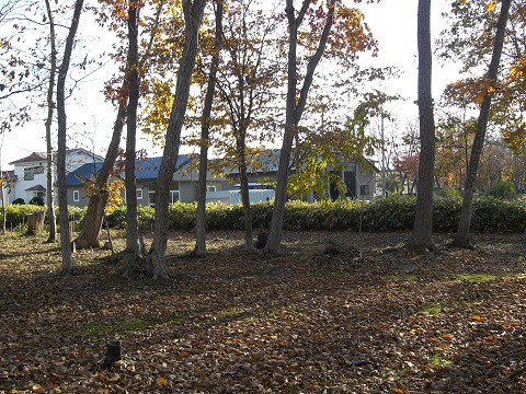 売土地（白老町）