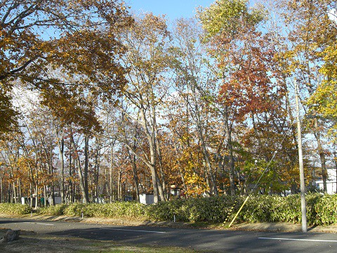 売土地（白老町） 内観