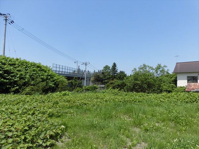 池田町字東二条1-6他3筆【売土地：230.1389坪】 内観