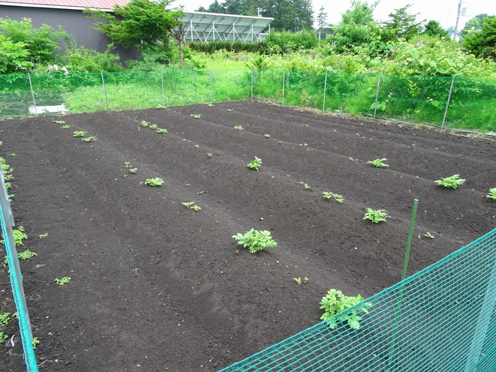 河東郡士幌町中士幌西二線72番３０ 内観
