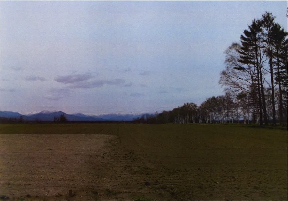 売地（中札内村）価格大幅値下 内観