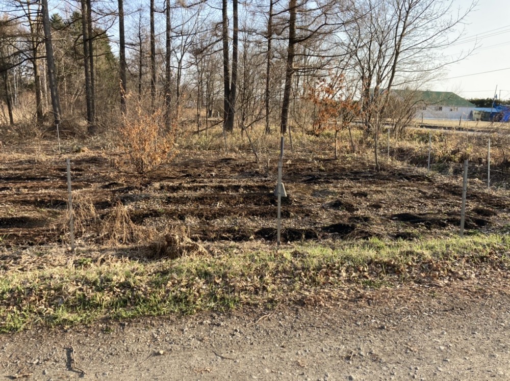 音更町大通20丁目　売地 内観