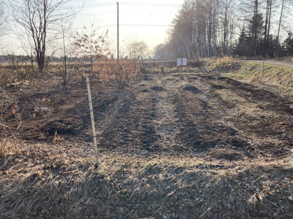 音更町大通20丁目　売地 内観