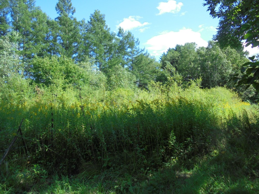 音更町大通20丁目12番６