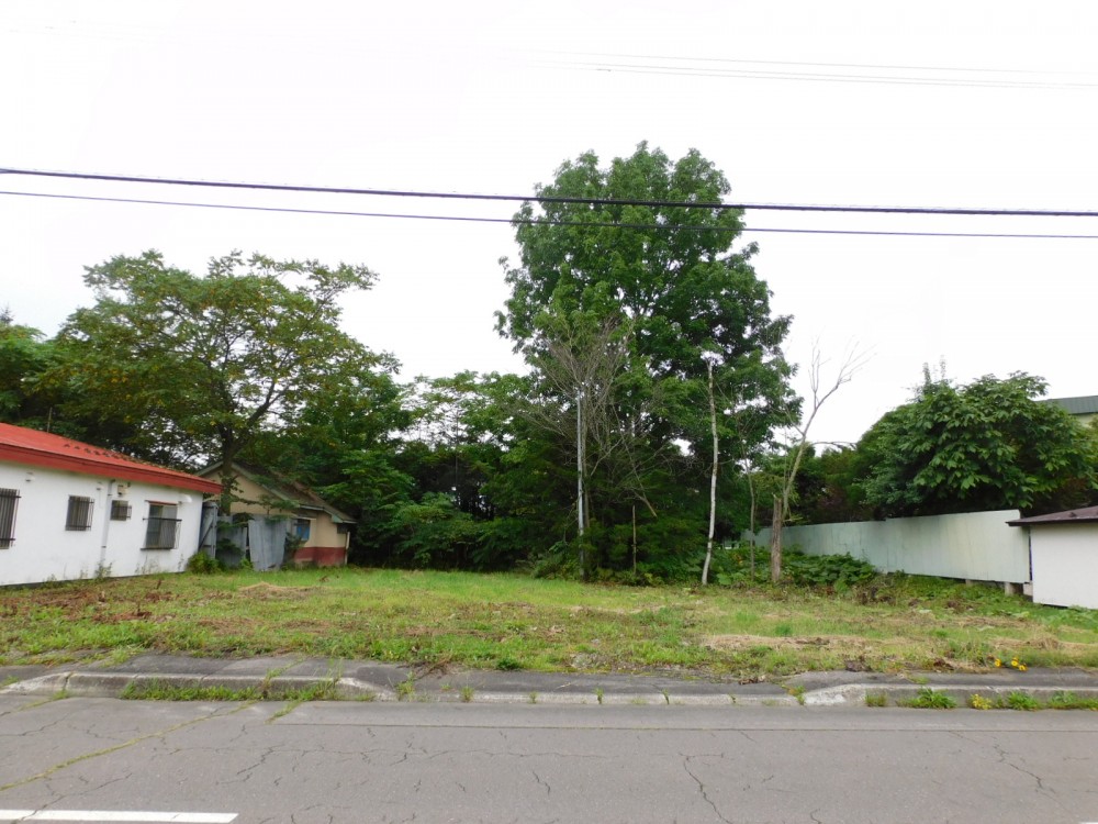 鹿追町泉町1丁目　売土地（202.89坪）