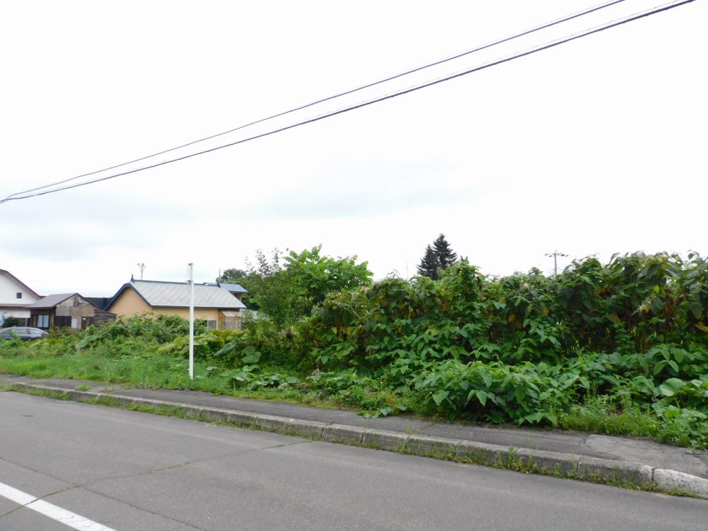 鹿追町仲町1丁目　売土地（414.04坪） 内観