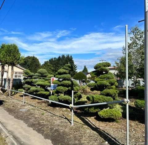帯広市清川町　売地 外観