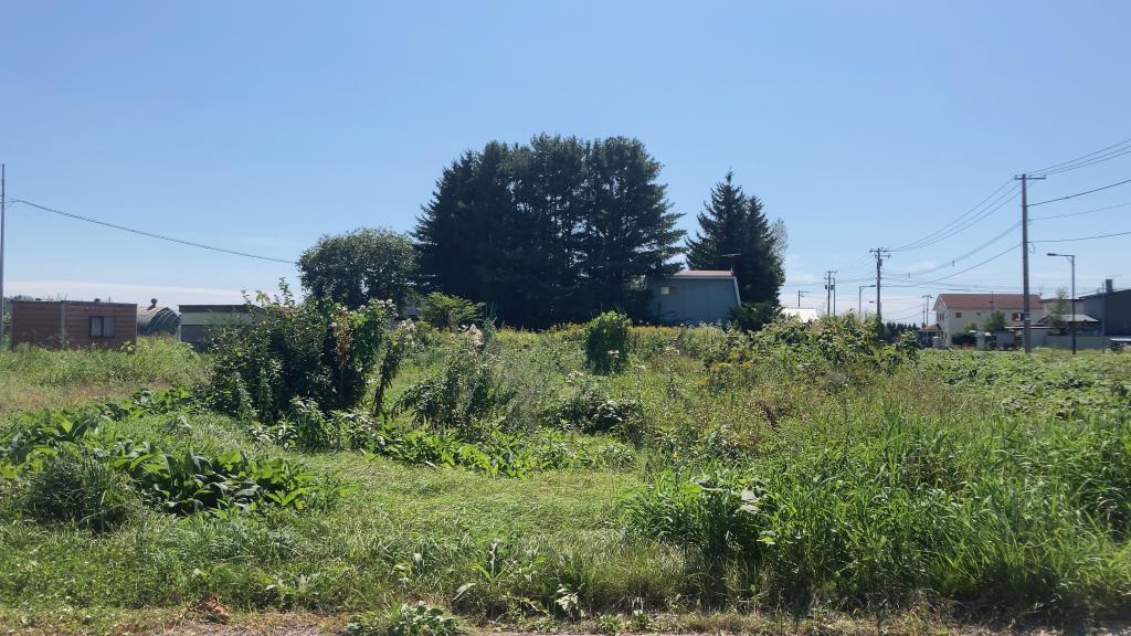 音更町柳町北区　売土地 内観