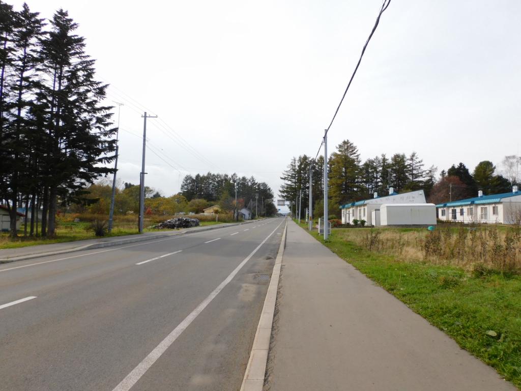 鹿追町瓜幕西1丁目　売土地（575.9坪） 内観