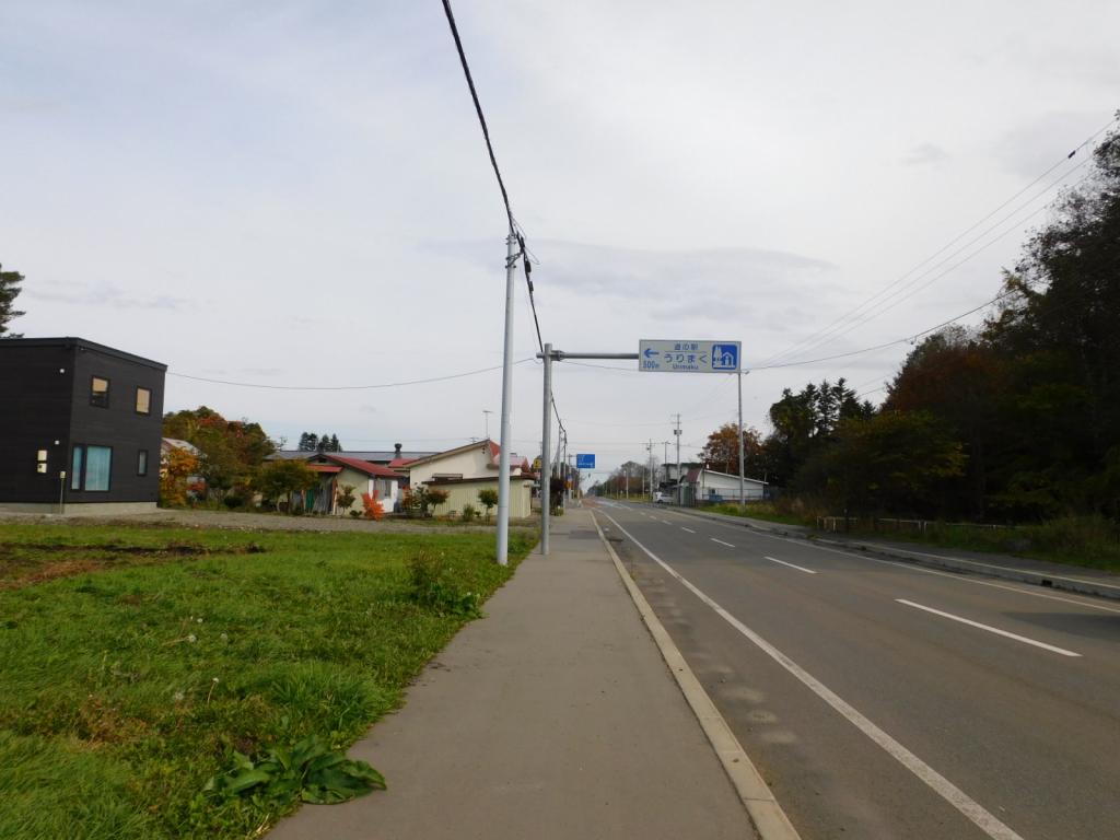 鹿追町瓜幕西1丁目　売土地（575.9坪） 内観