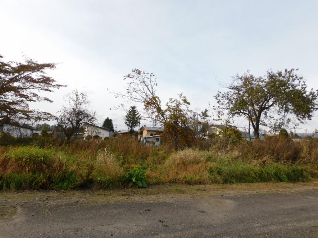 鹿追町瓜幕東1丁目　売土地（522.1坪） 内観