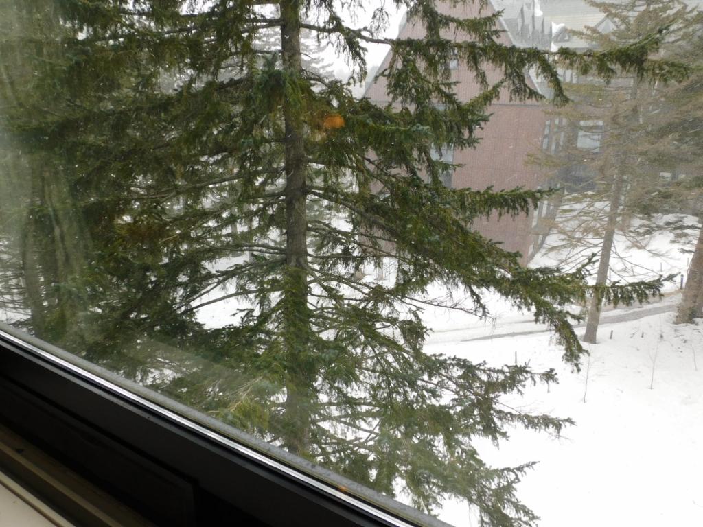 トマム　ザ・ヴィレッジアルファⅠ 内観