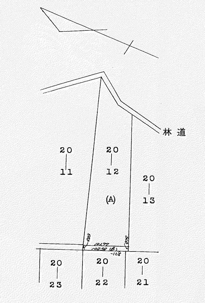 新得町字屈足　山林 外観
