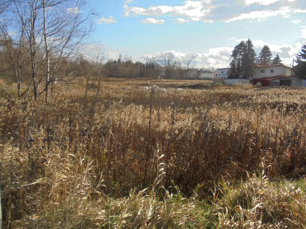 帯広市川西町基線54番1