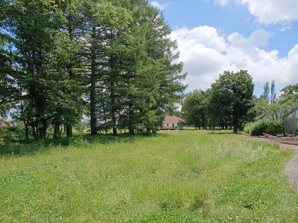 更別村　オークヴィレッジ（24-8） 内観