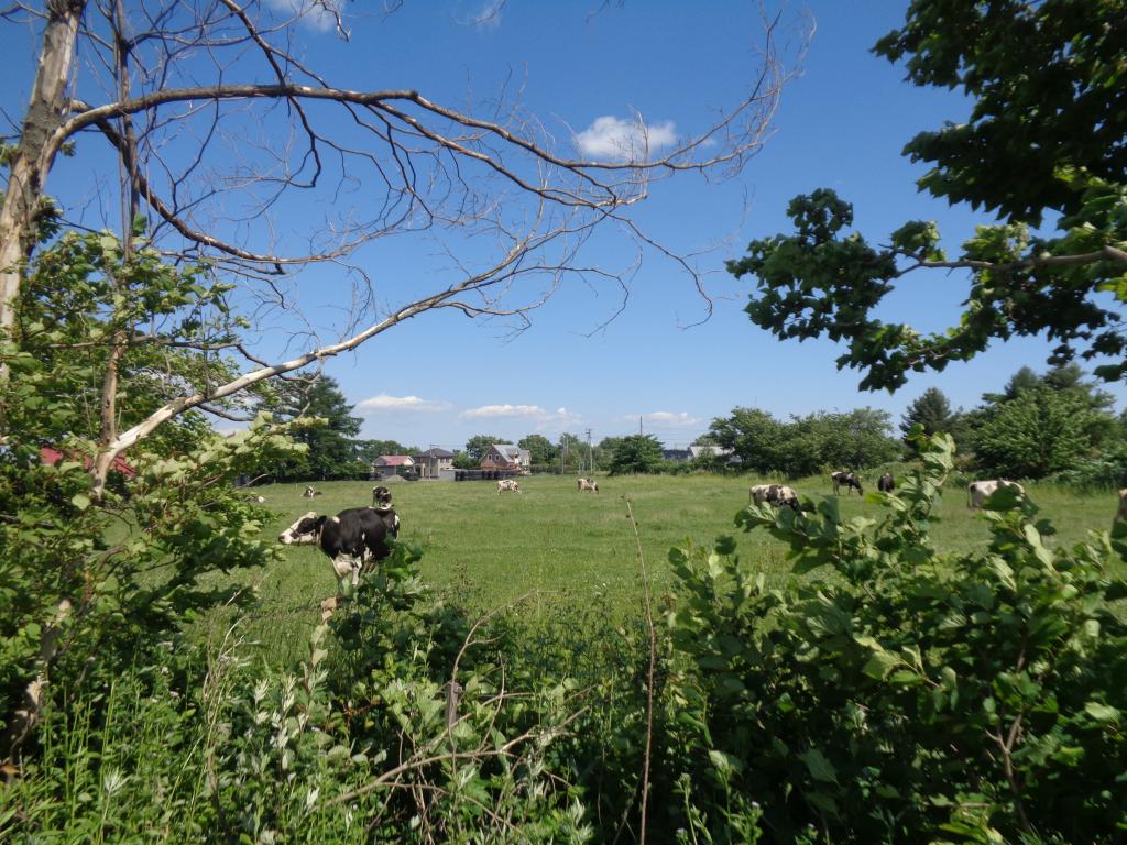 清水町　205坪の住宅用地 内観