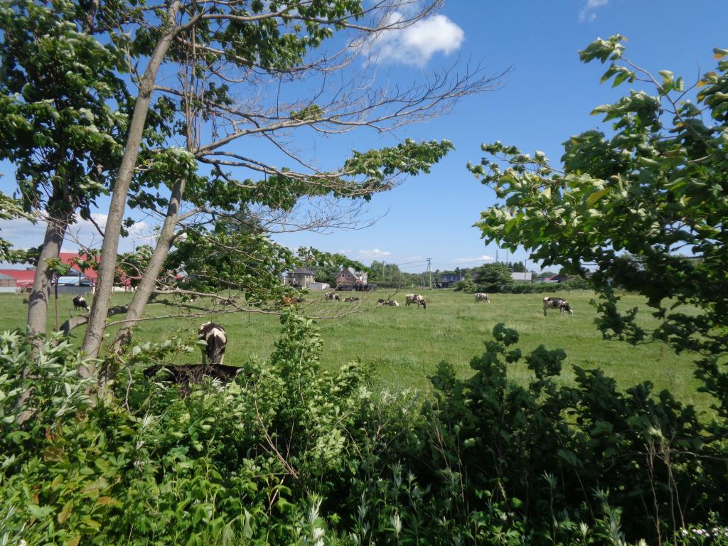 清水町　205坪の住宅用地 内観