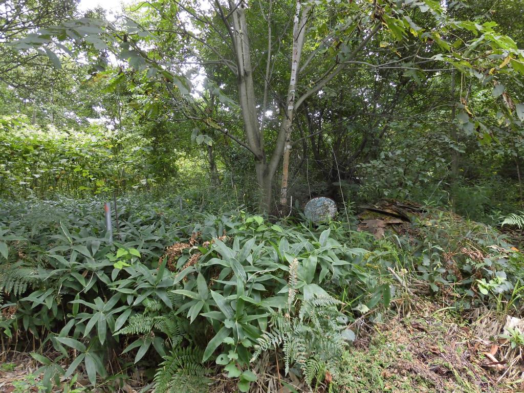 帯広市川西町西二線30番45他1筆【売土地：162.745坪】