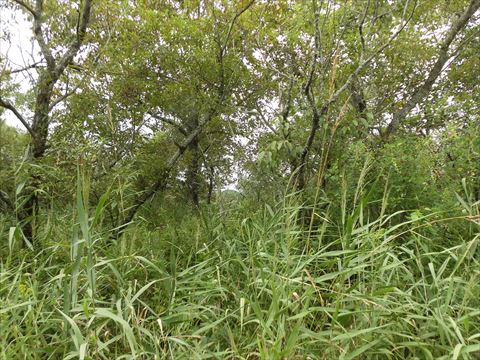 釧路市鶴野58-2246【売土地：62.61坪】