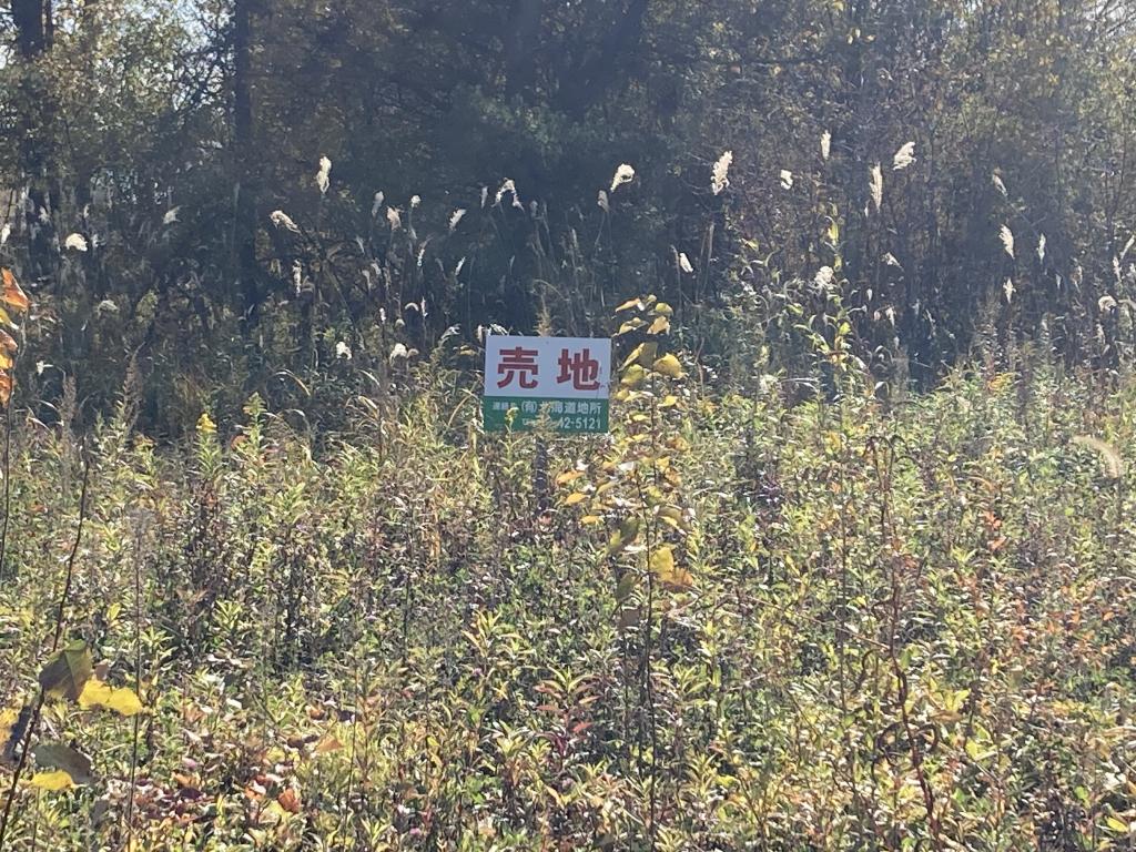 音更町木野西通19丁目　売地（２）