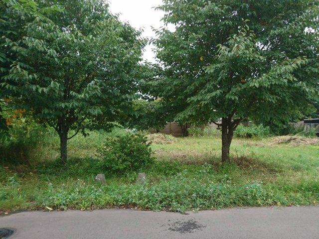 音更町大通２０丁目【敷地１１９坪！】 内観