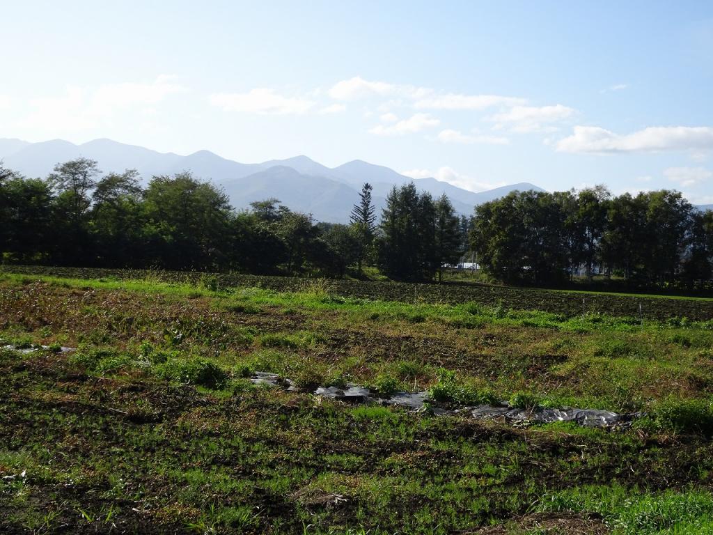 御影売土地 内観