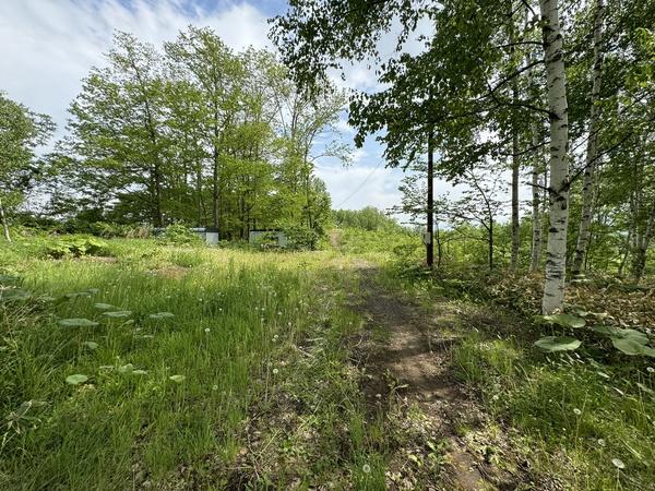 清水町熊牛　売土地 周辺