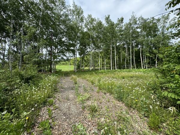 清水町熊牛　売土地 周辺