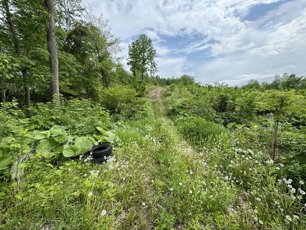 清水町熊牛　売土地 周辺