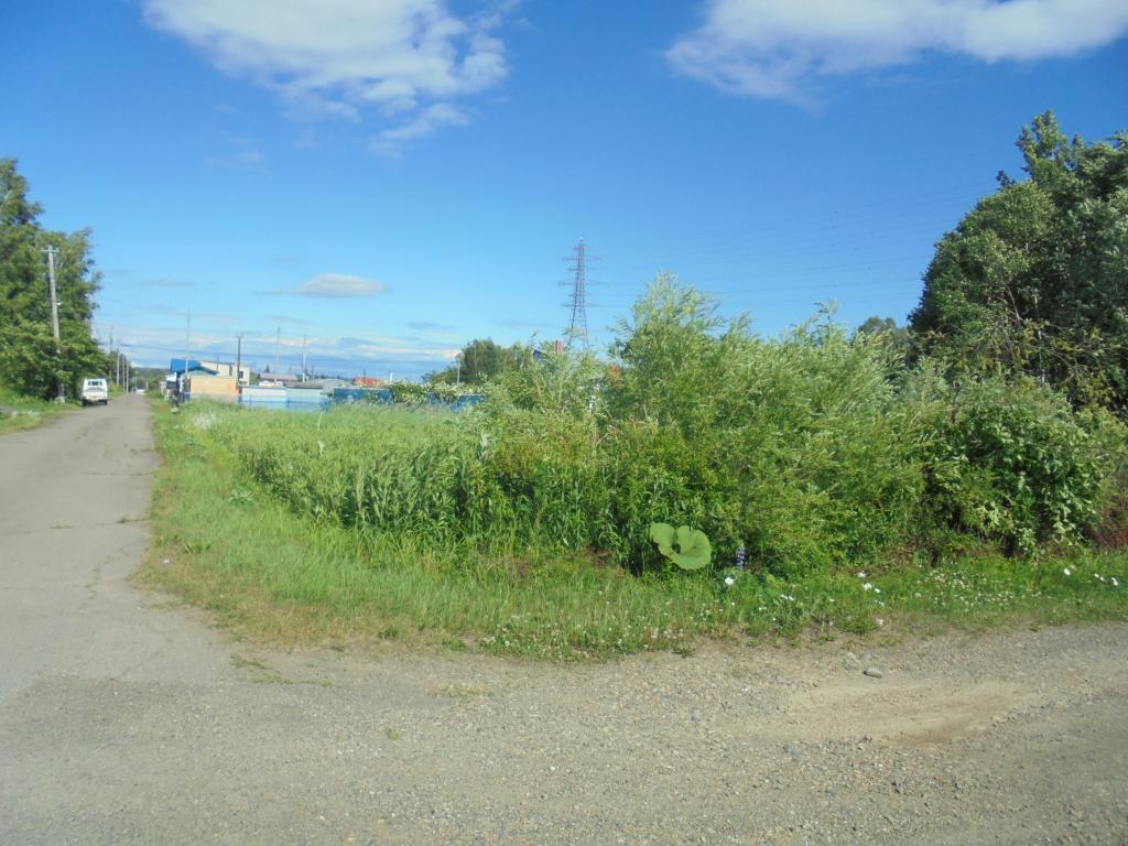 音更町木野西通19丁目　調整区域