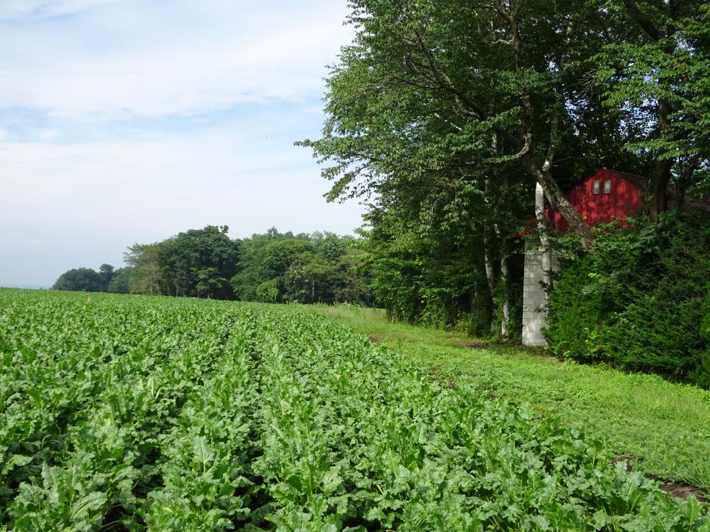 中美生果樹園 内観