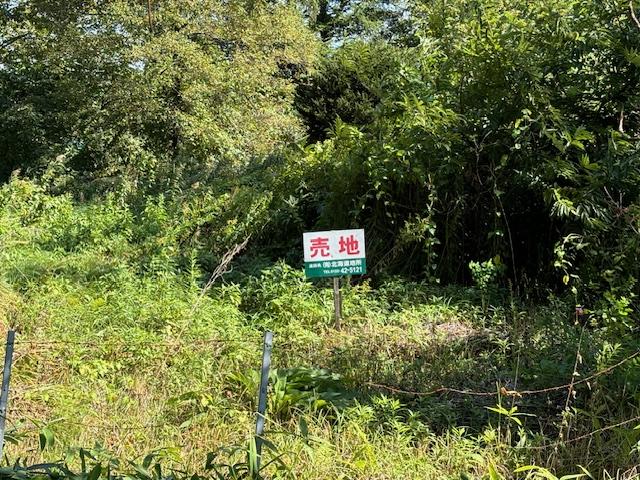 音更町大通20丁目　売地 内観