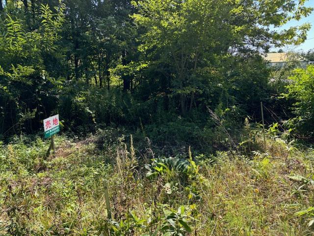 音更町大通20丁目　売地 内観