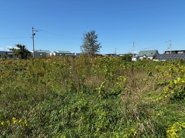 音更町東通13丁目　売地 内観