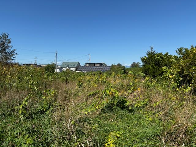 音更町東通13丁目　売地 内観