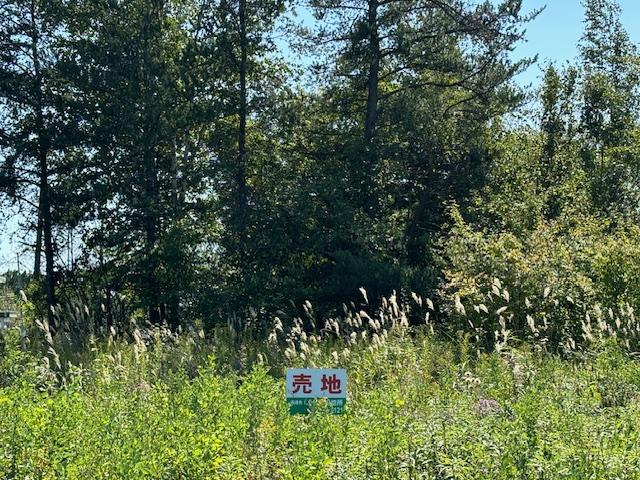 音更町木野西通19丁目　売地（２） 内観