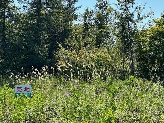 音更町木野西通19丁目　売地（２） 内観