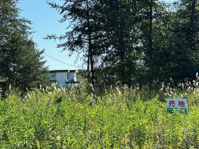 音更町木野西通19丁目　売地（２） 内観