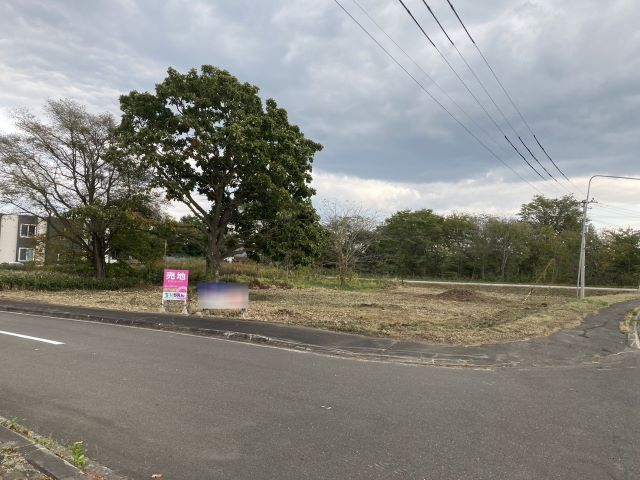 清水町南１条西６丁目【北西角地！約３０２坪の広大な敷地！】