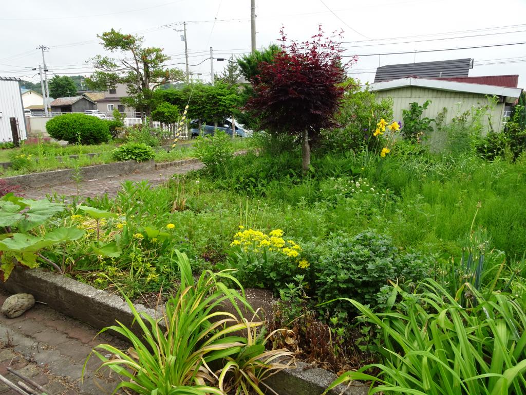 池田町高島売土地古屋付 内観