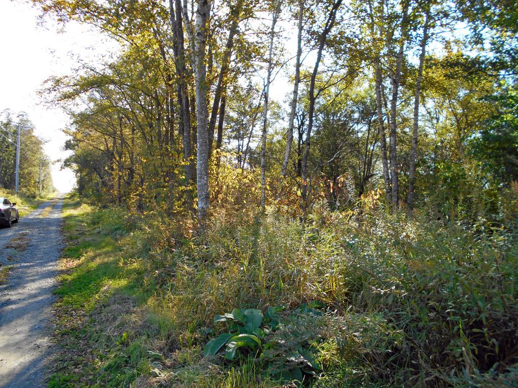 売地（幕別町美川）