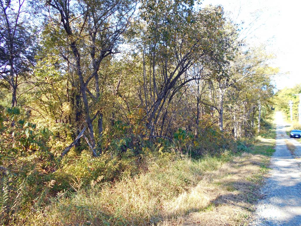 売地（幕別町美川） 外観