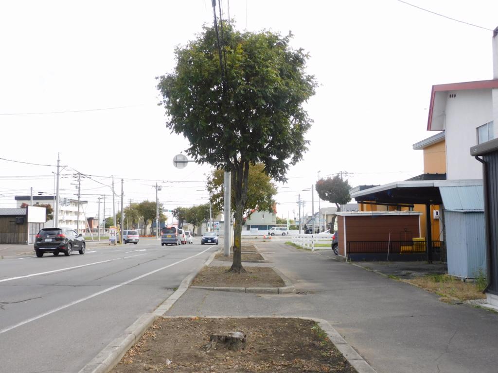 帯広市西21条南2丁目　売土地（69.9坪）建築条件なし ※解体更地渡し 内観