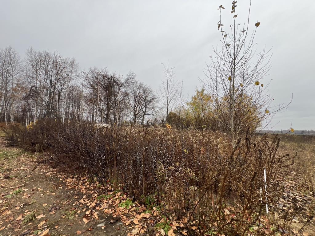 300坪♪大正町東＿土地 内観