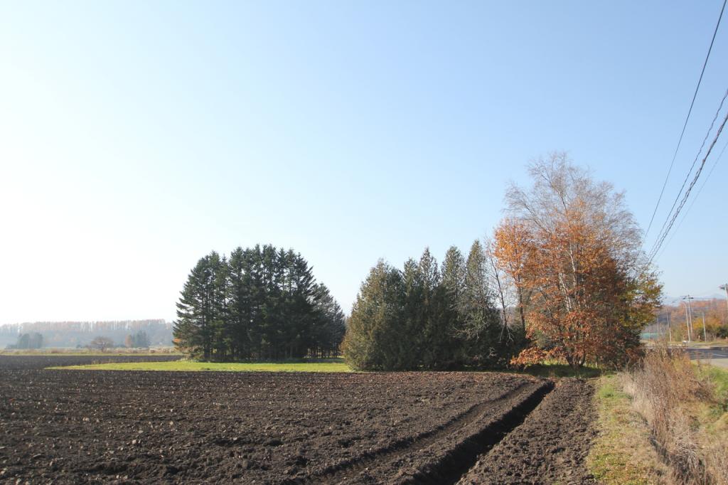 【防風林のある広大な売土地】新得町字屈足西１線 内観